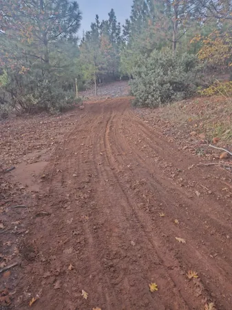 a view of a dry yard with trees in the background