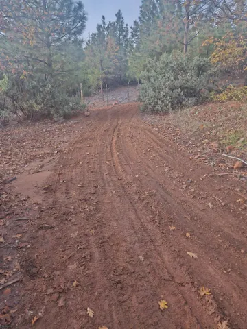 a view of a dry yard with trees in the background
