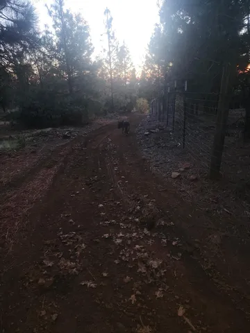 a view of outdoor space and yard