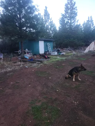 a view of backyard with green space