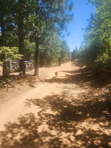 a view of a yard with a house