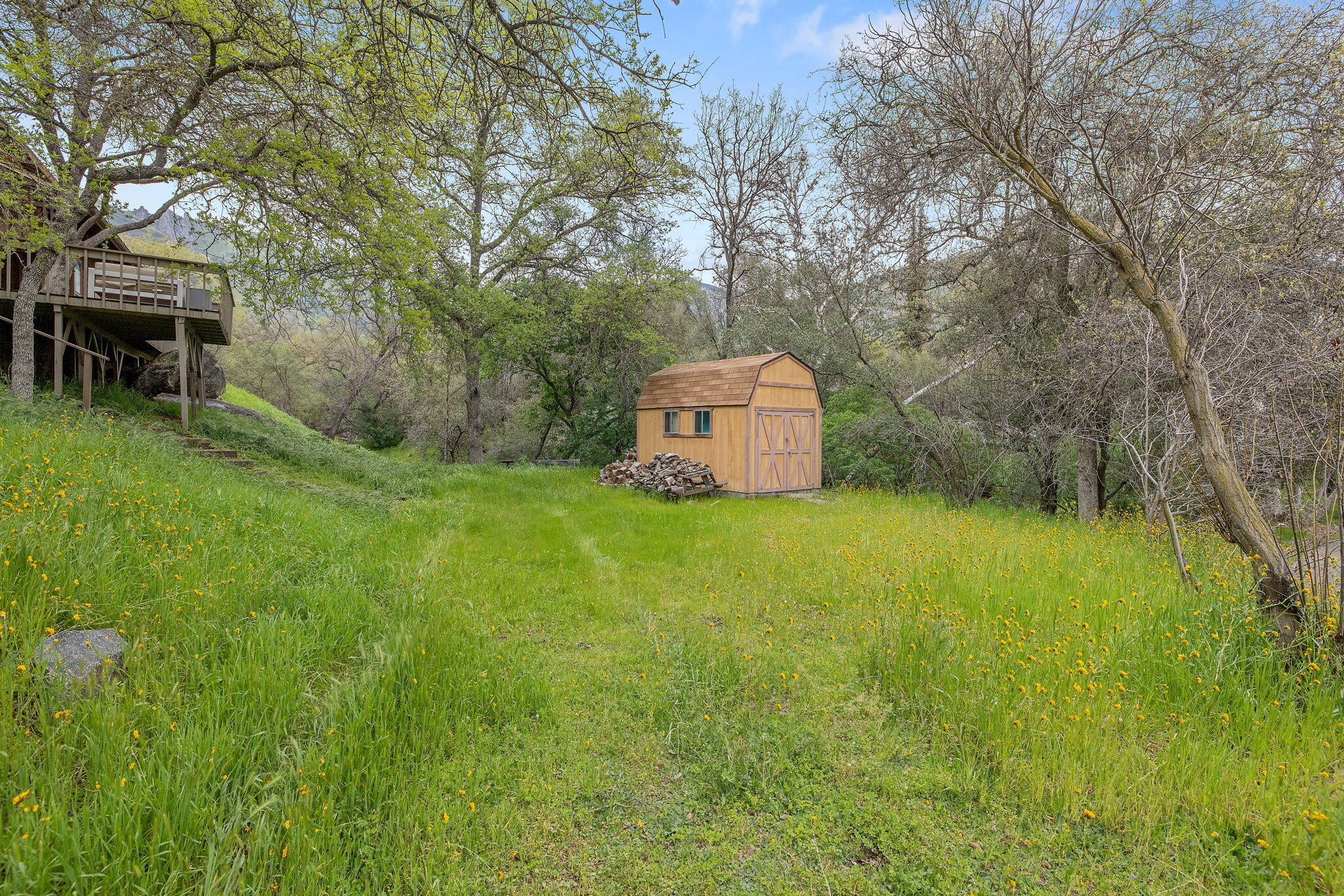 43677 Washburn Drive Three Rivers, CA 93271 - Photo 70 of 80 81-web-or-mls-713A9686
