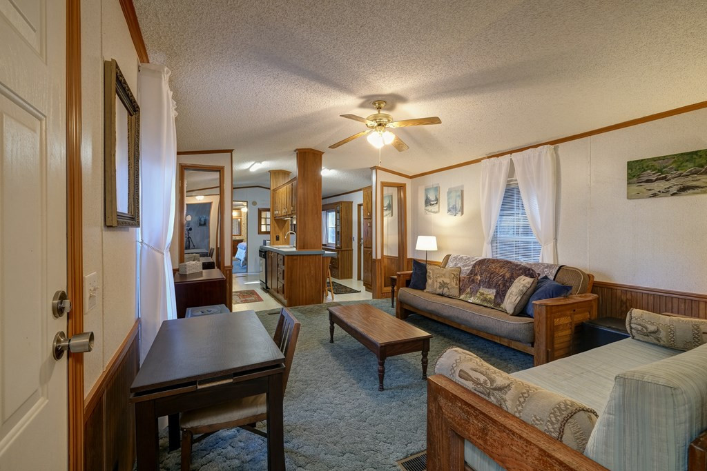 844 Canyon Road Marble, NC 28905 - Photo 4 of 61 Gallery Image 4