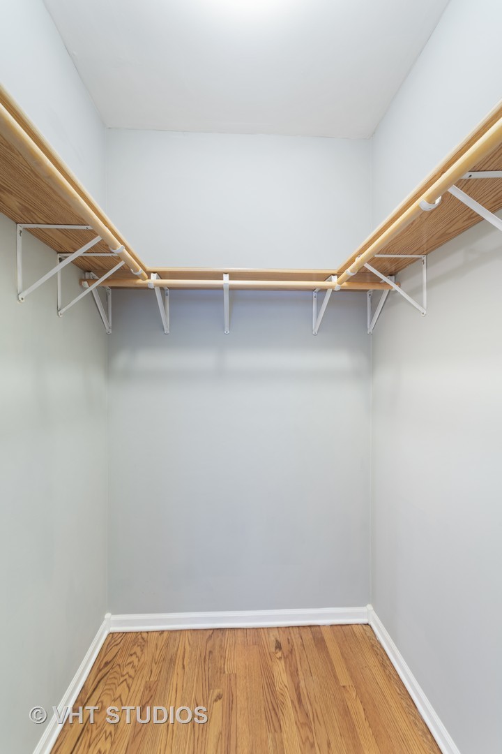 1733 South Ruble Street, Unit 1 Chicago, IL 60616 - Photo 16 of 19 a view of an empty walk in closet