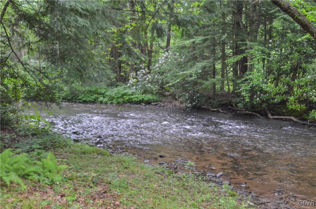 112 Trach Road Kunkletown, PA 18058 - Photo 30 of 33 a view of a yard with plants and large trees