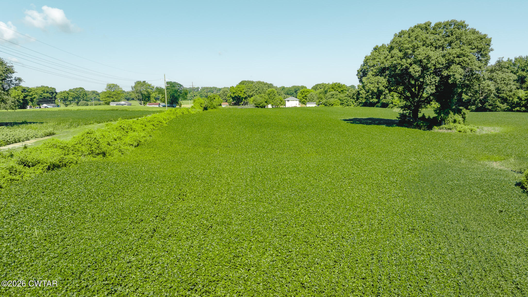 0 Oakshire Road Union City, TN 38261 - Photo 11 of 19 DJI_20260614170141_0009_D