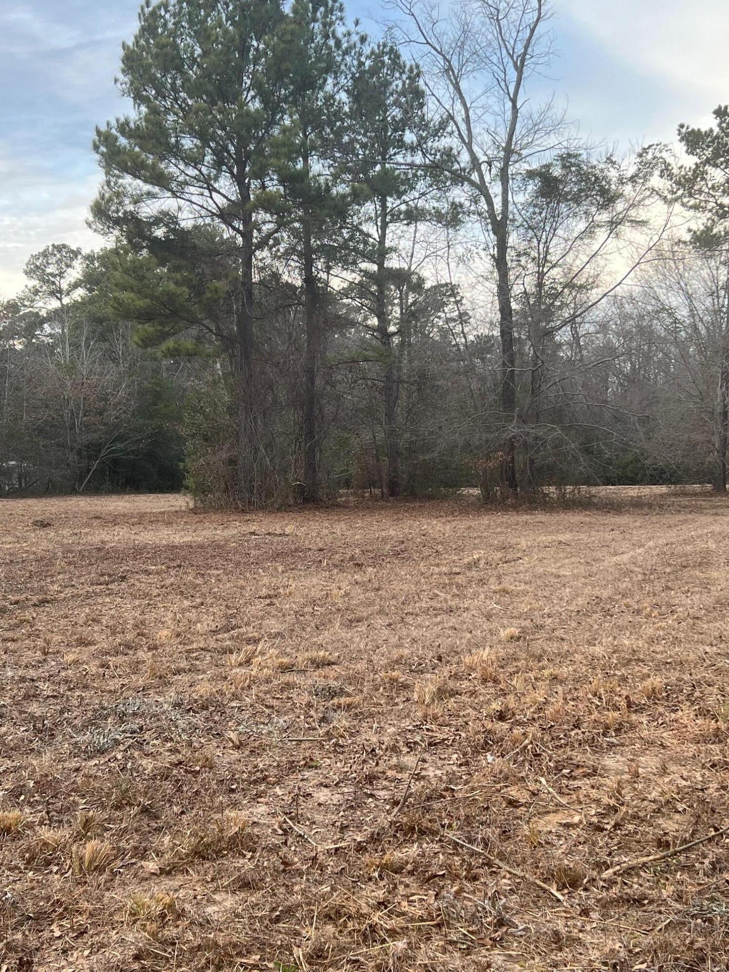 0 Lantern Lane Sumter, SC 29154 - Photo 2 of 4
