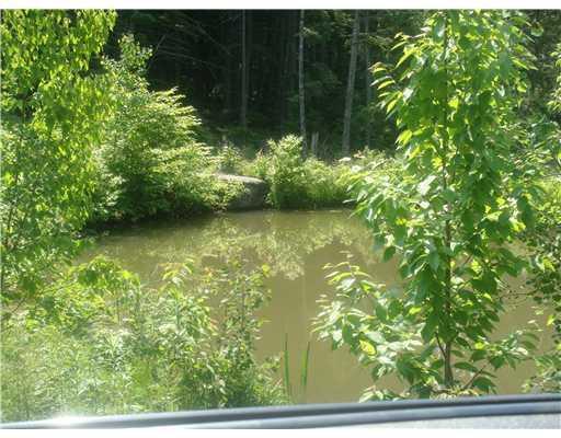 211 Pratt Cove Road Island Falls, ME 04747 - Photo 2 of 24 Land/Lot. private pond