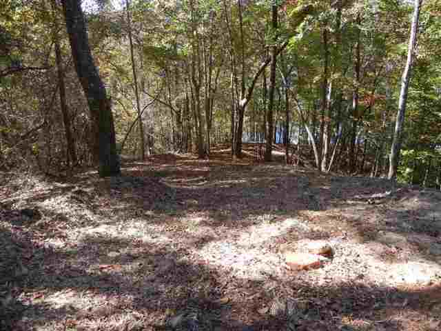 105 Misty Water Loop, Unit A8 Sunset, SC 29685 - Photo 3 of 14