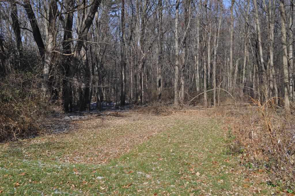 20 Bluff Road Rotterdam, NY 12306 - Photo 3 of 16 Photo 3