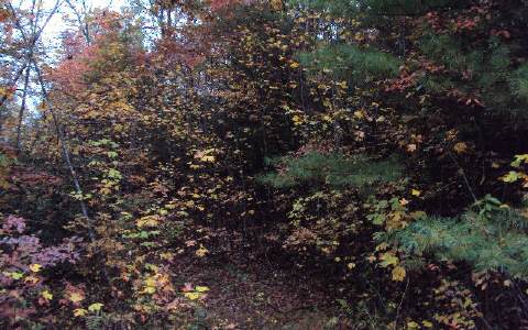 0 Appalachian Estates Road Murphy, NC 28906 - Photo 1 of 1 Main View