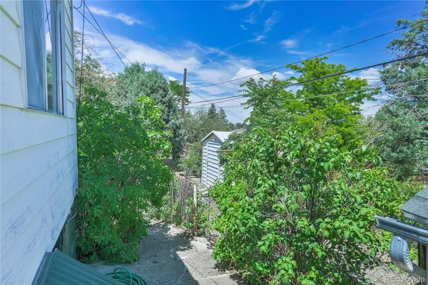 a view of a dry yard with plants and large trees