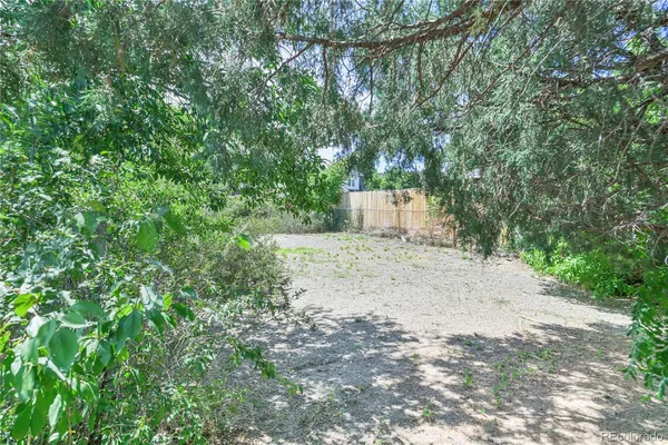 a view of a yard with plants and a small yard
