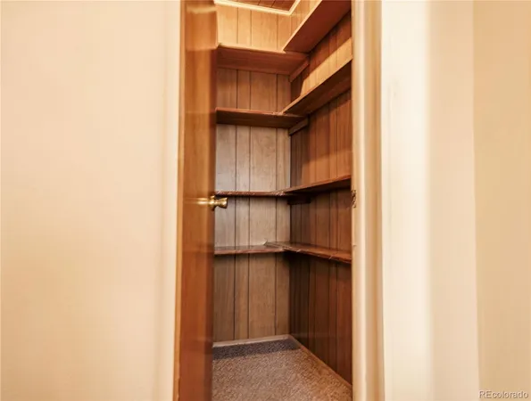 a view of walk in closet