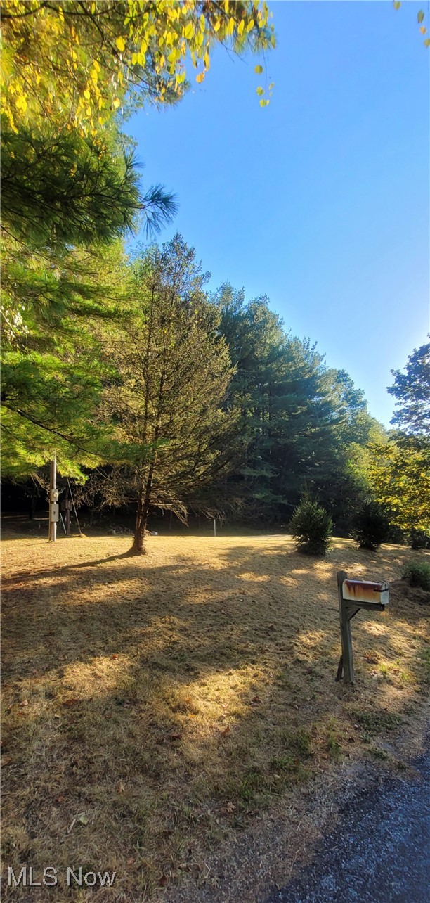18344 Modoc Road Glouster, OH 45732 - Photo 9 of 16 View of yard