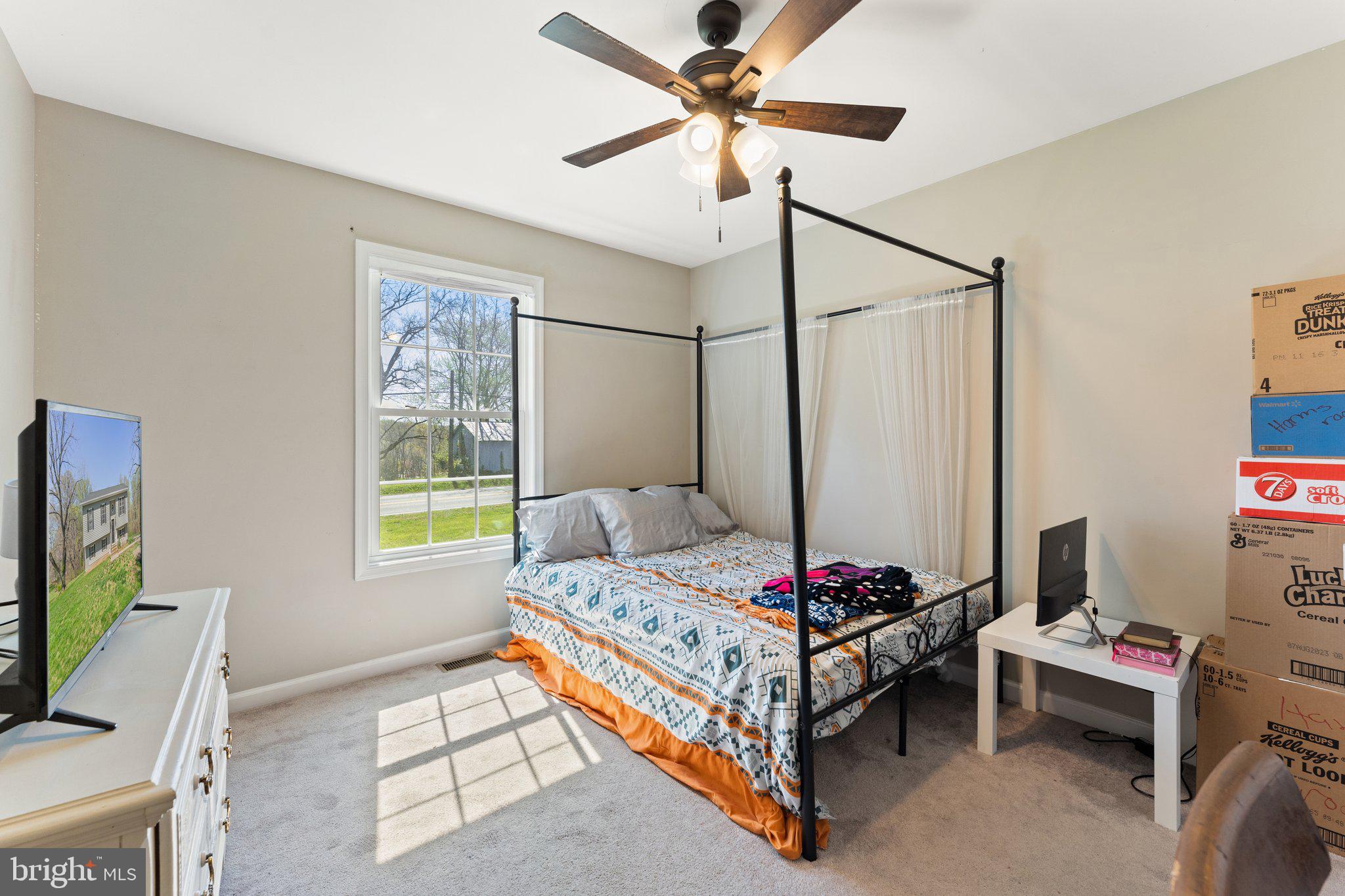 8584 Rixeyville Road Rixeyville, VA 22737 - Photo 23 of 48 Bedroom #2 w/fan
