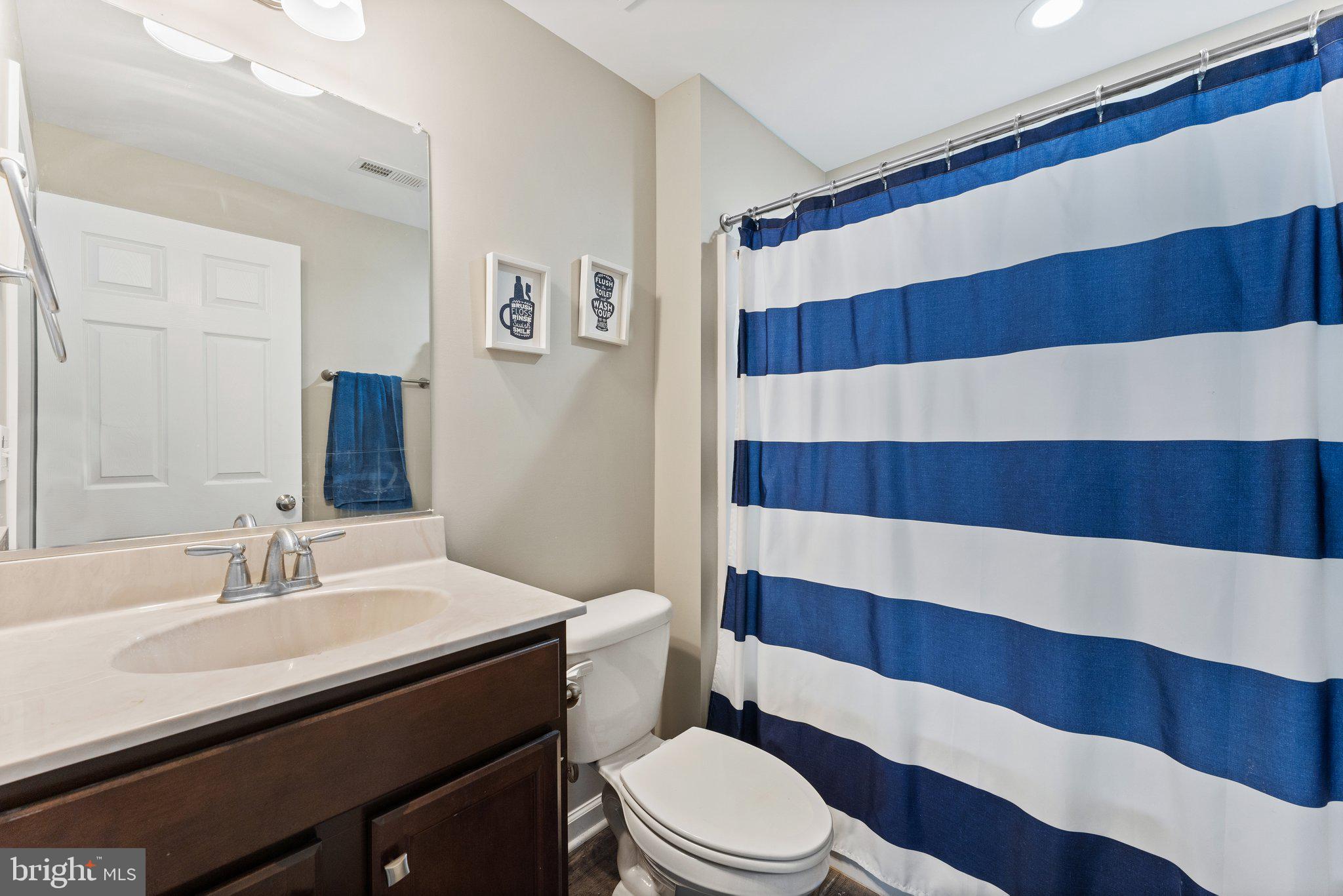 8584 Rixeyville Road Rixeyville, VA 22737 - Photo 35 of 48 Lower level full bathroom with tub/shower