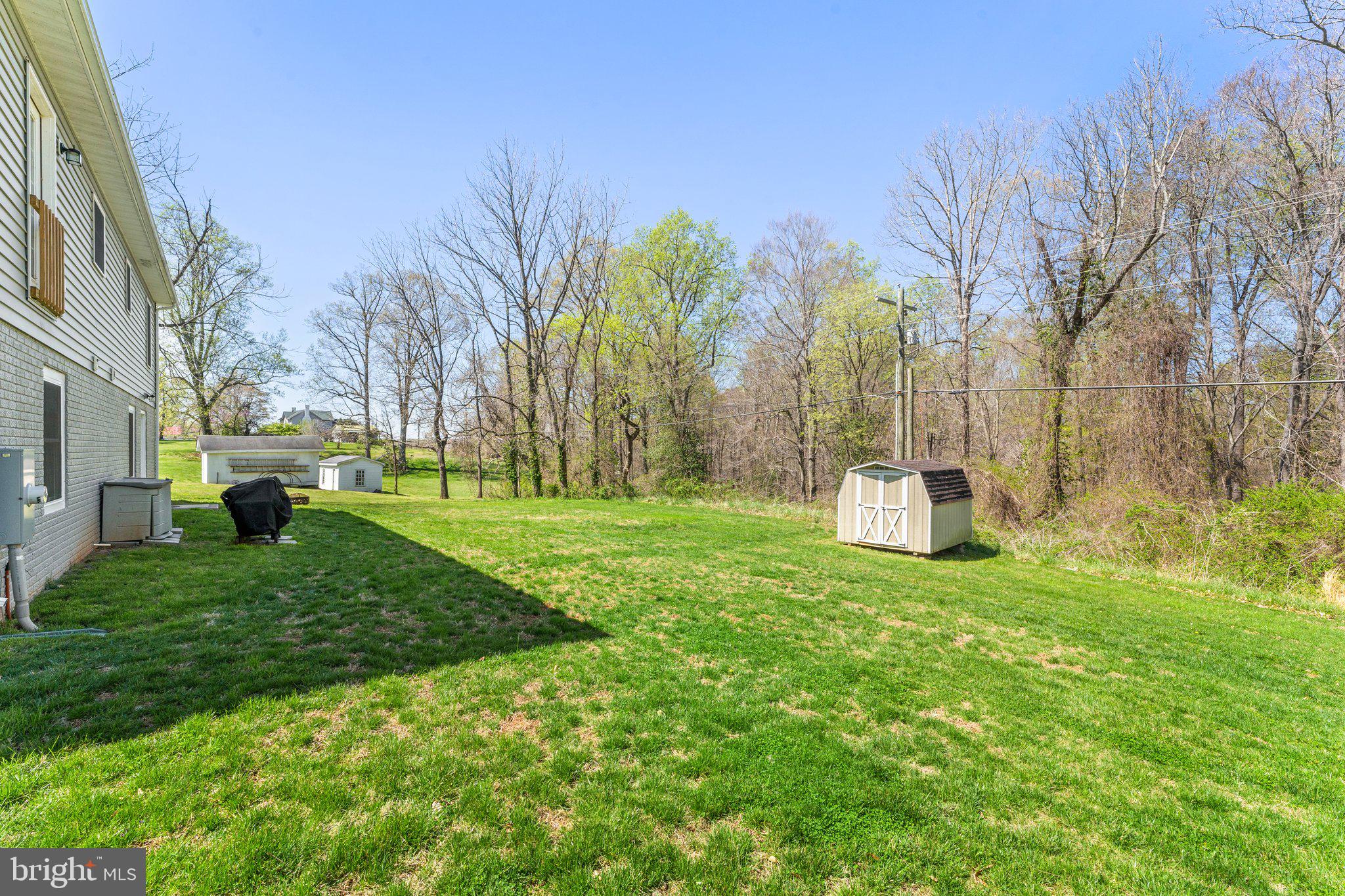 8584 Rixeyville Road Rixeyville, VA 22737 - Photo 45 of 48 Backyard