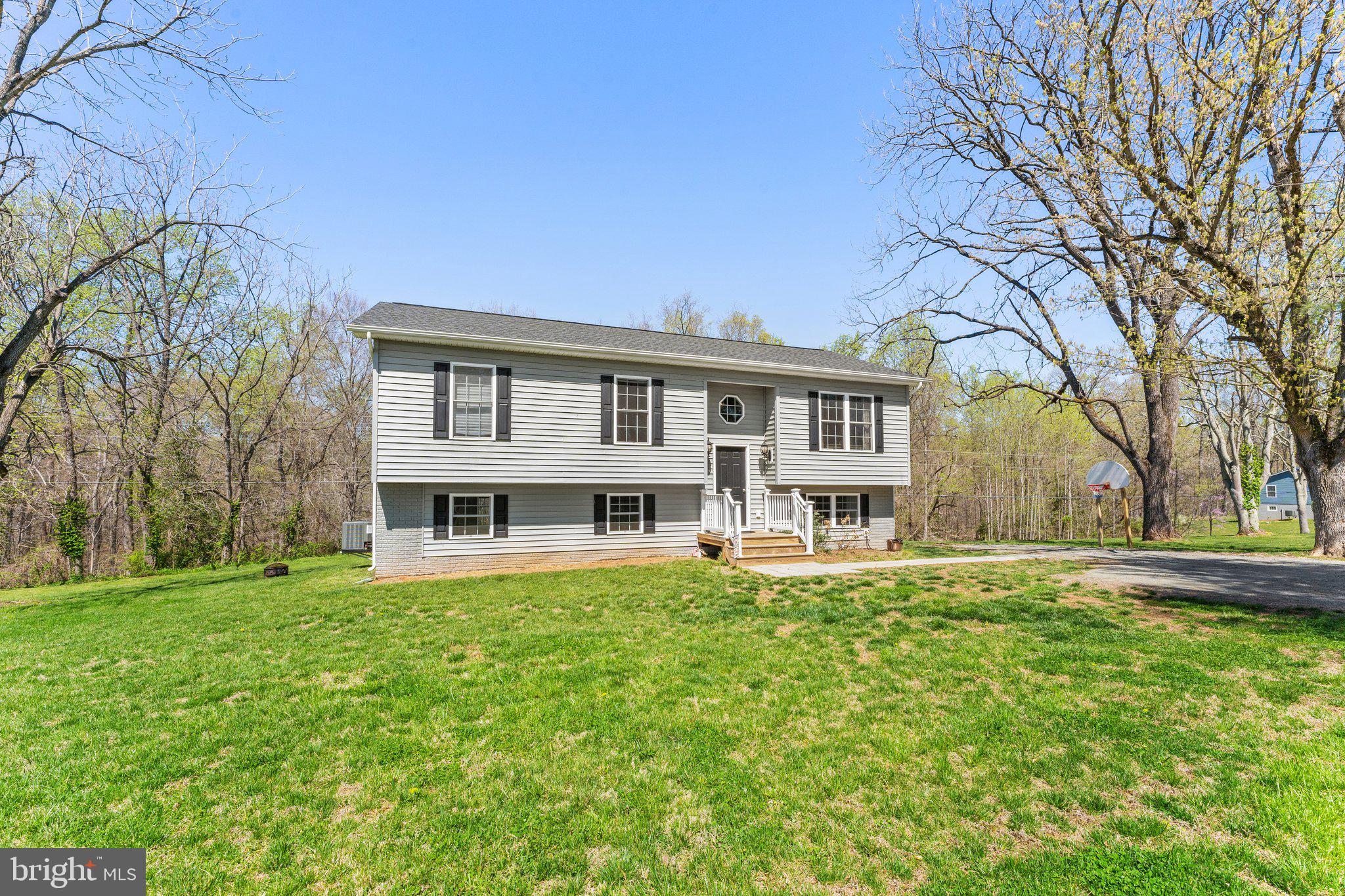 8584 Rixeyville Road Rixeyville, VA 22737 - Photo 47 of 48 Front yard