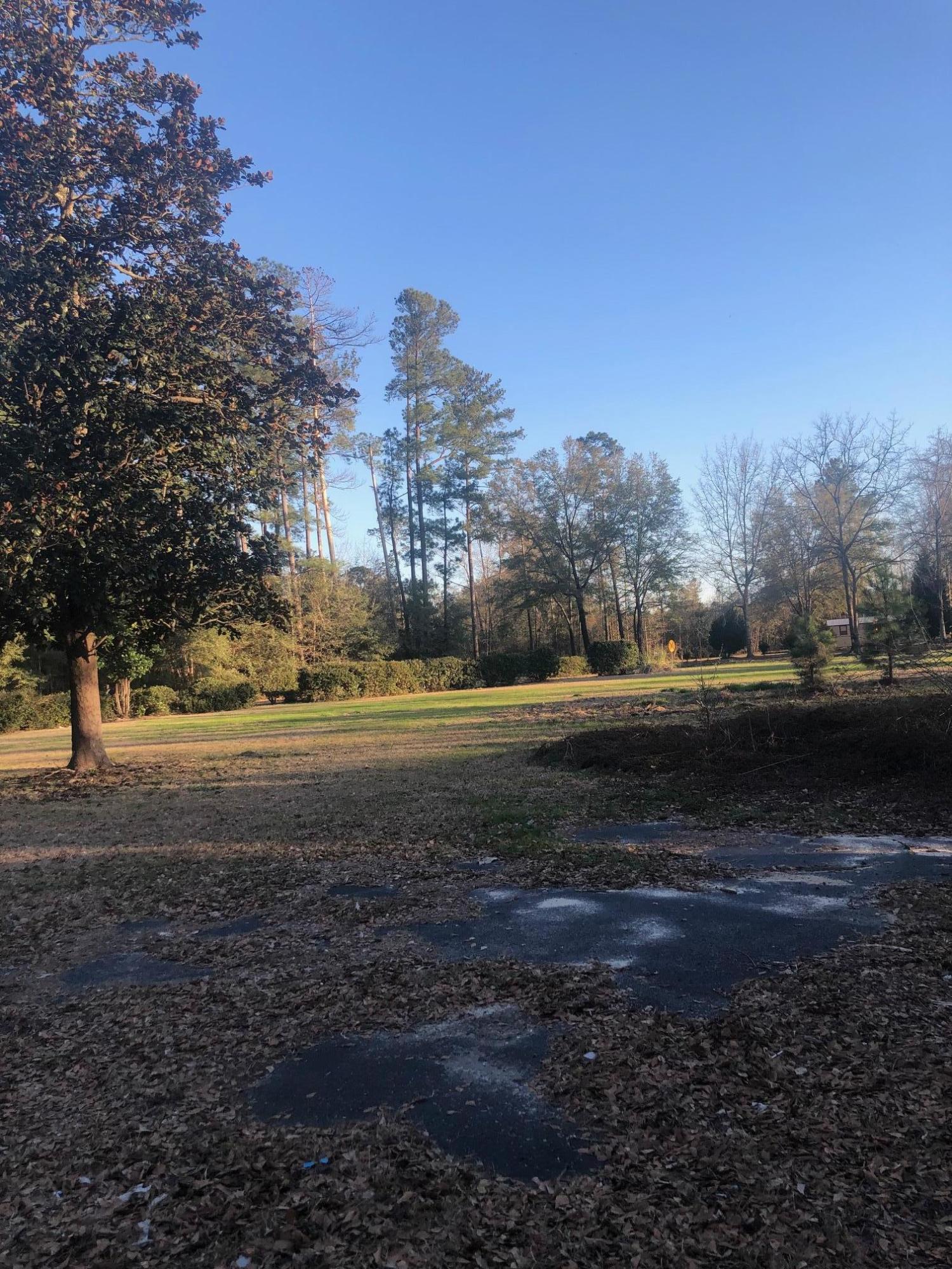 2907 Wolfe Creek Road Walterboro, SC 29488 - Photo 14 of 18 IMG_6926