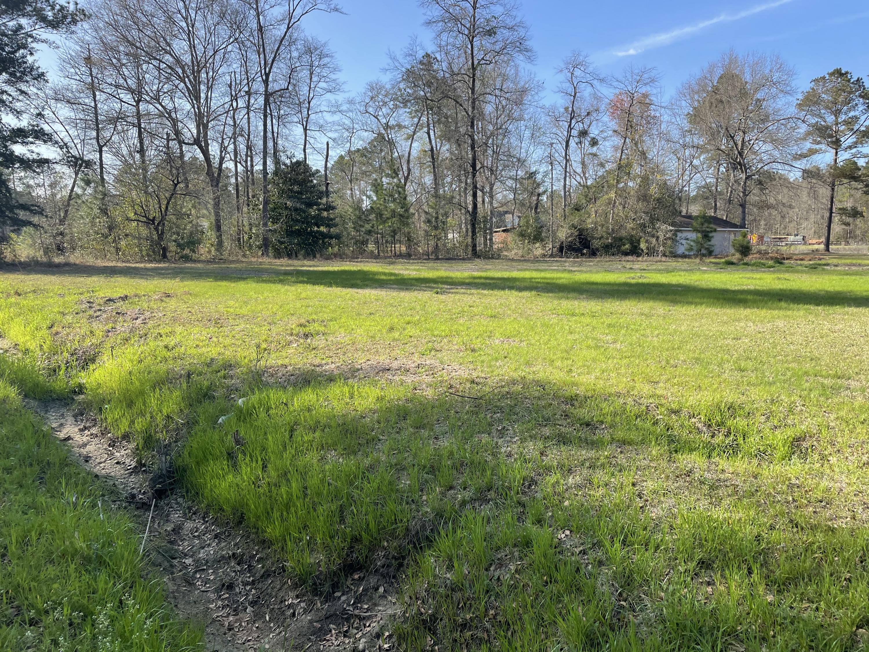 2907 Wolfe Creek Road Walterboro, SC 29488 - Photo 16 of 18 IMG_0116