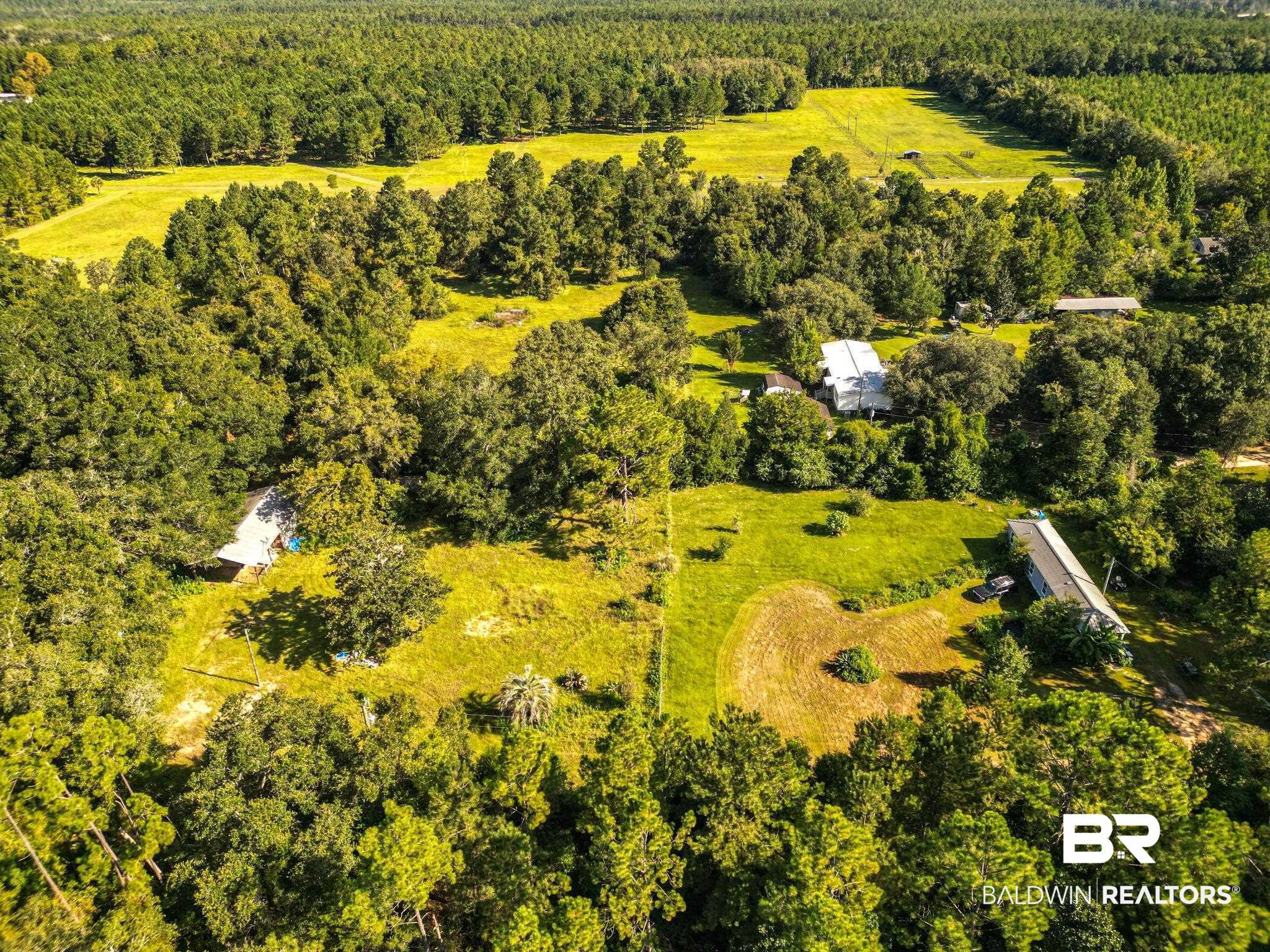 32429 Jay Kee Lane Elberta, AL 36530 - Photo 4 of 13 Overview of rural landscape featuring a forest