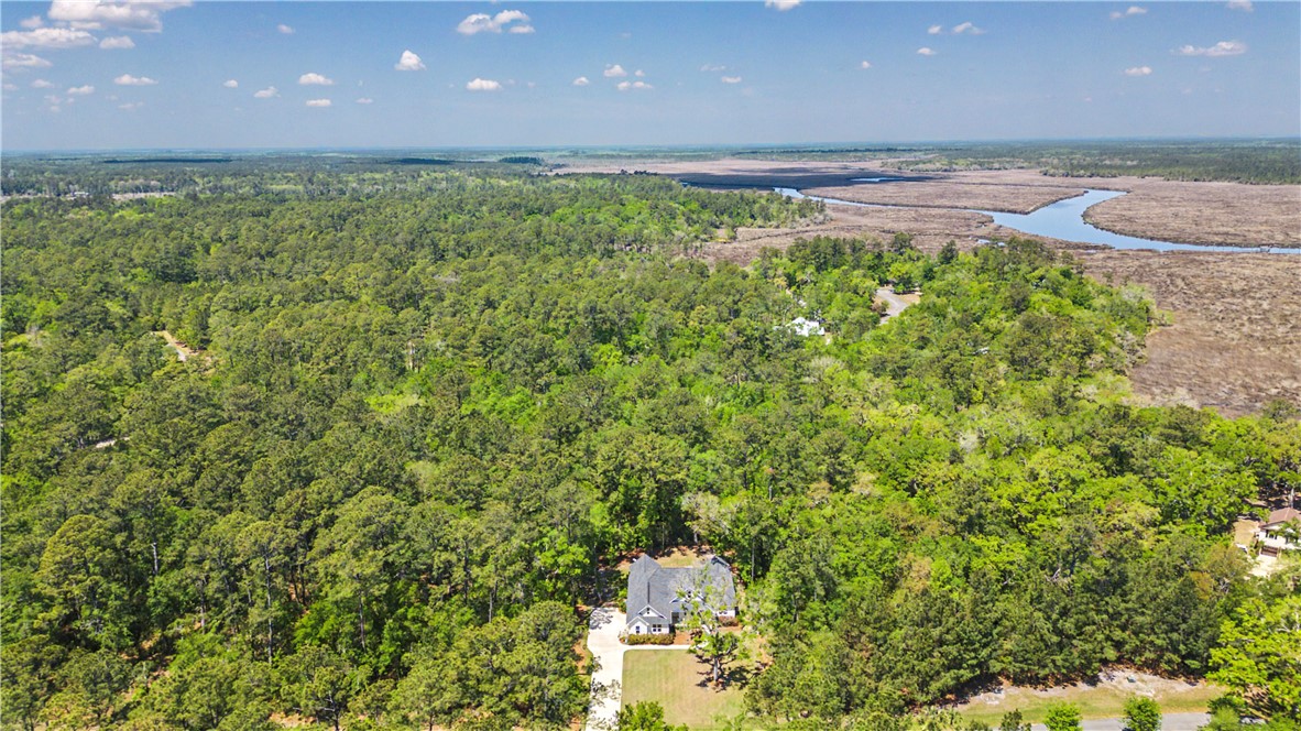 656 Sanderling Trace Waverly, GA 31565 - Photo 70 of 71