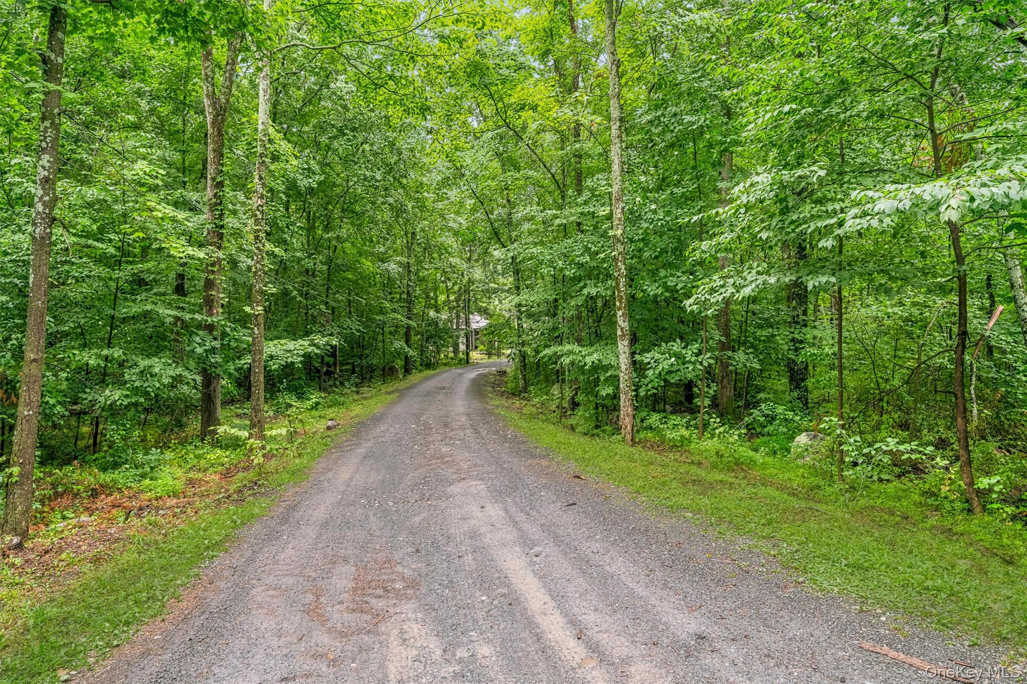 182 Redder Road Pine Bush, NY 12566 - Photo 4 of 27 Private Driveway