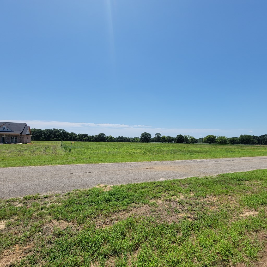 Lot 11 County Road 9 Newton, AL 36352 - Photo 10 of 12