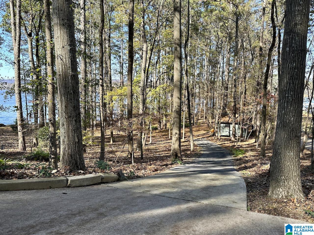 3371 County Road 104 Cedar Bluff, AL 35959 - Photo 60 of 100
