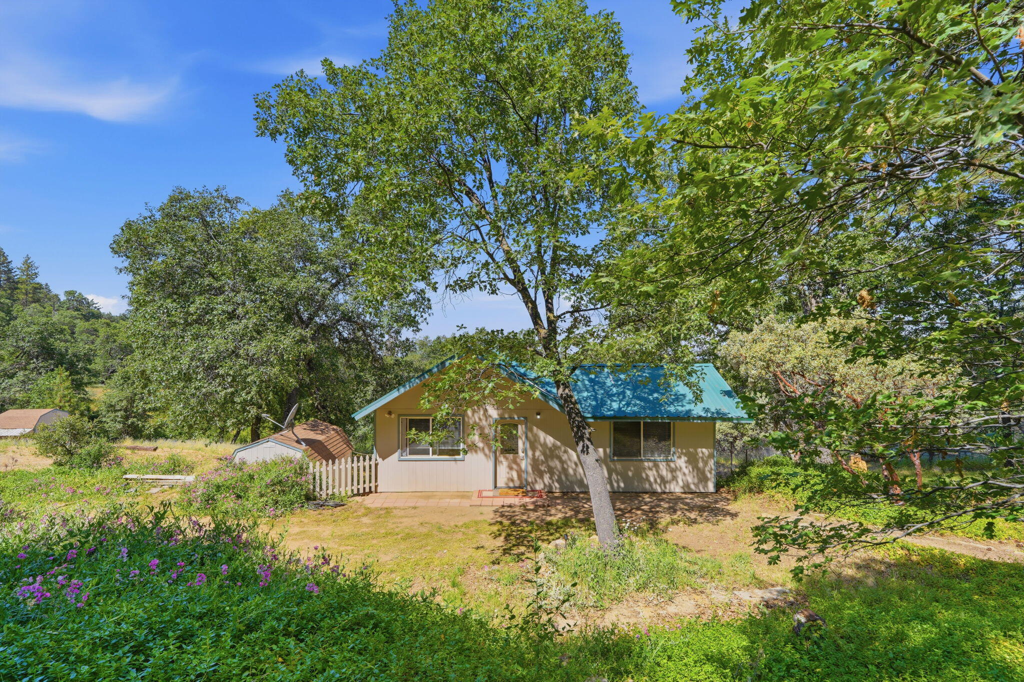 53237 Hogback Drive Miramonte, CA 93641 - Photo 44 of 48