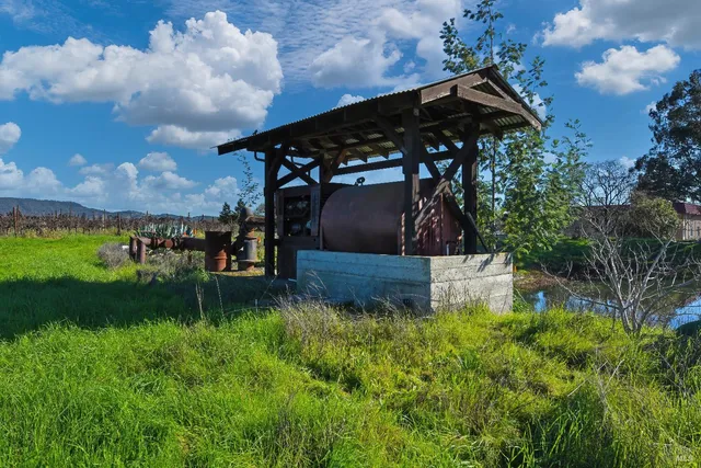 a view of a bunch of flowers