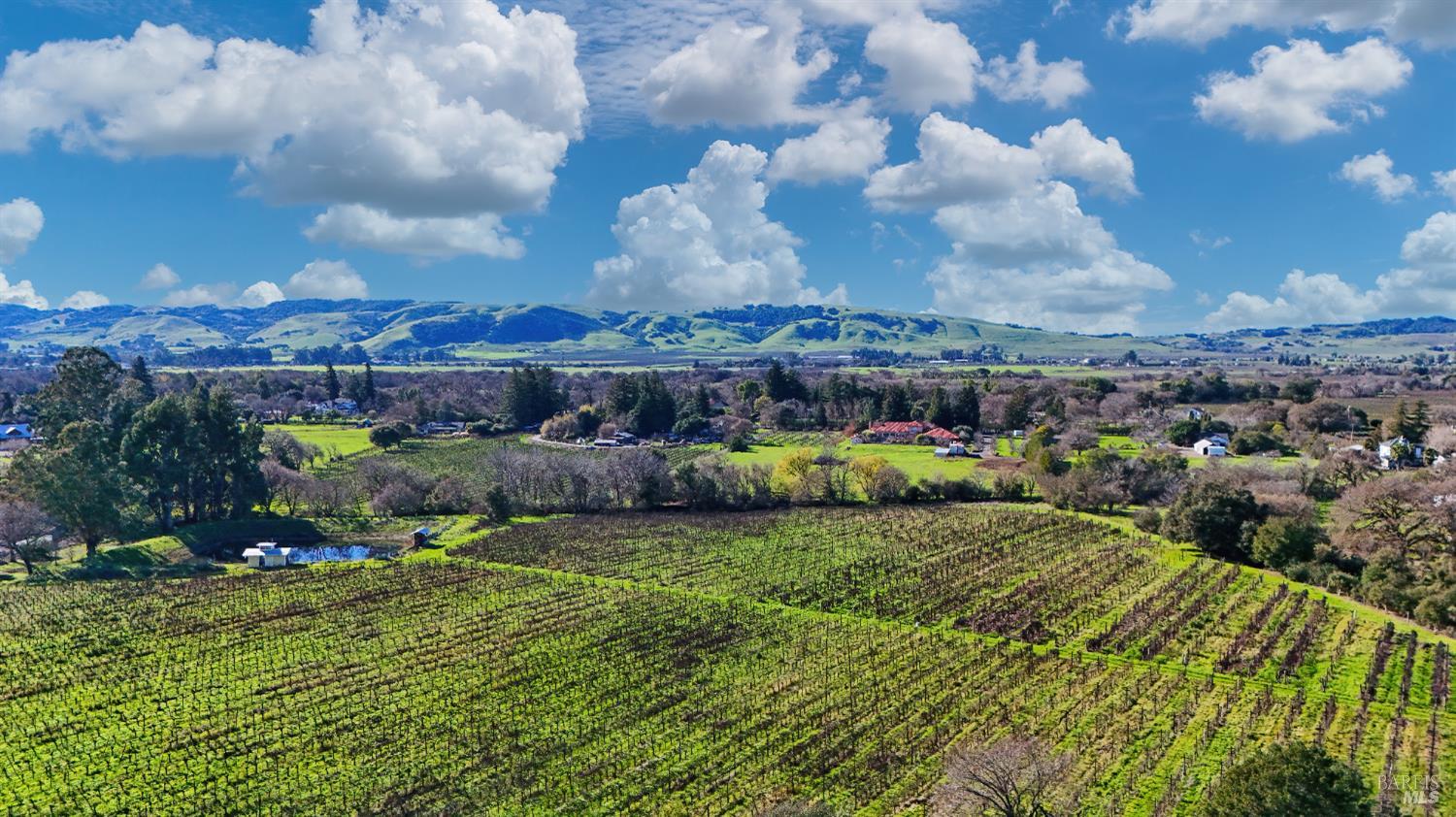0 8th Street East Sonoma, CA 95476 - Photo 12 of 14 a view of a garden with an apartment