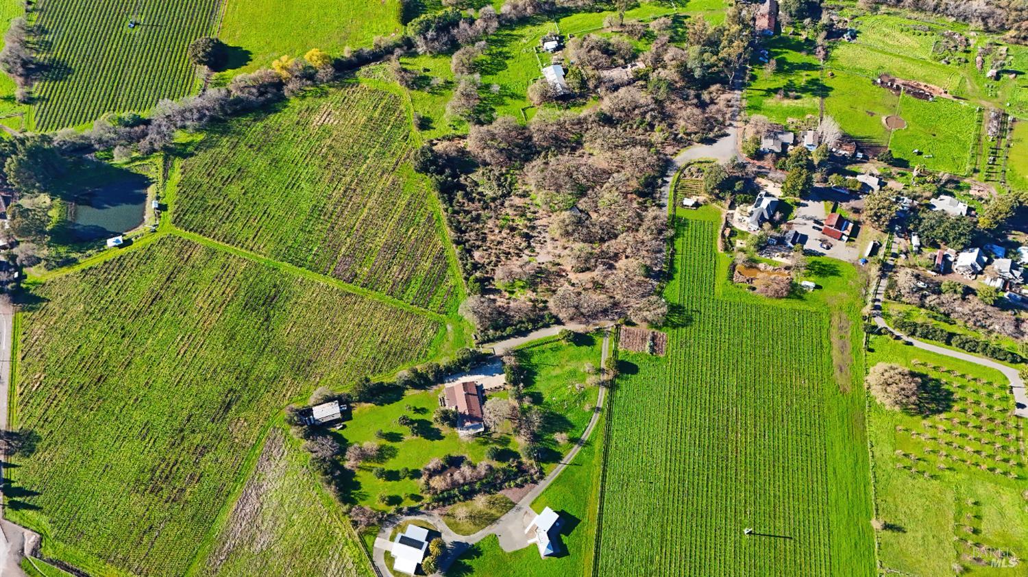 0 8th Street East Sonoma, CA 95476 - Photo 4 of 14 a view of a garden with plants