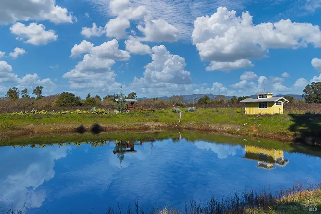a view of a garden with an apartment