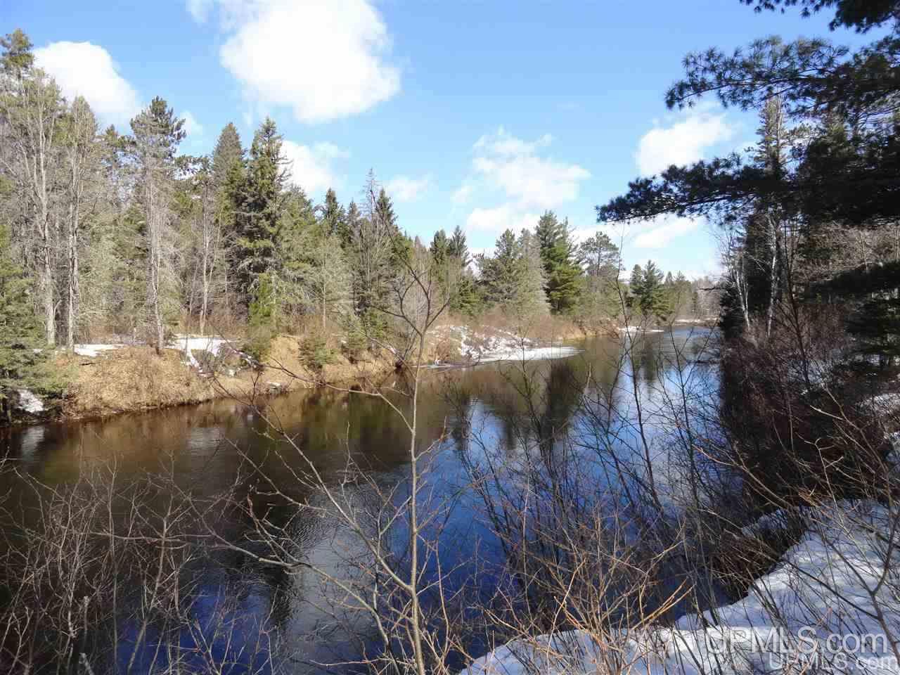 47-acres Chain Of Lakes Road Republic, MI 49879 - Photo 19 of 29