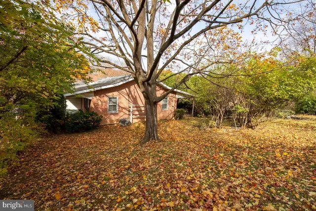 a view of yard with trees