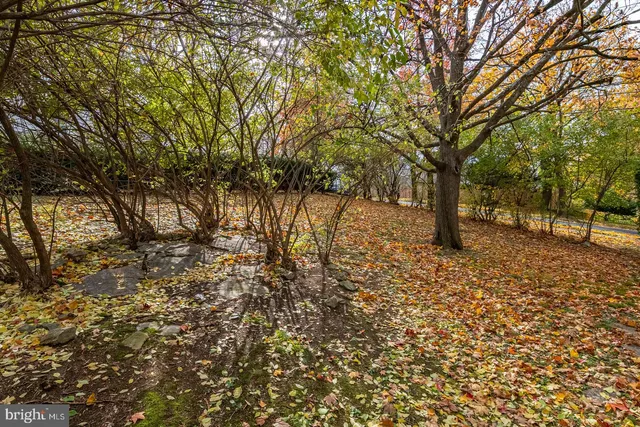 a view of a backyard with plants and garden