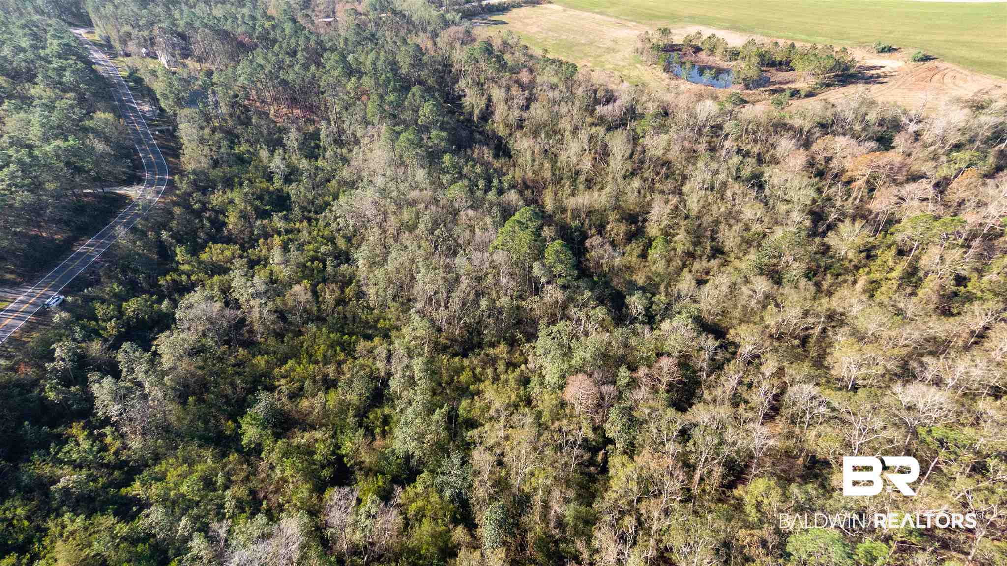 0 McPhillips Road Loxley, AL 36551 - Photo 24 of 27