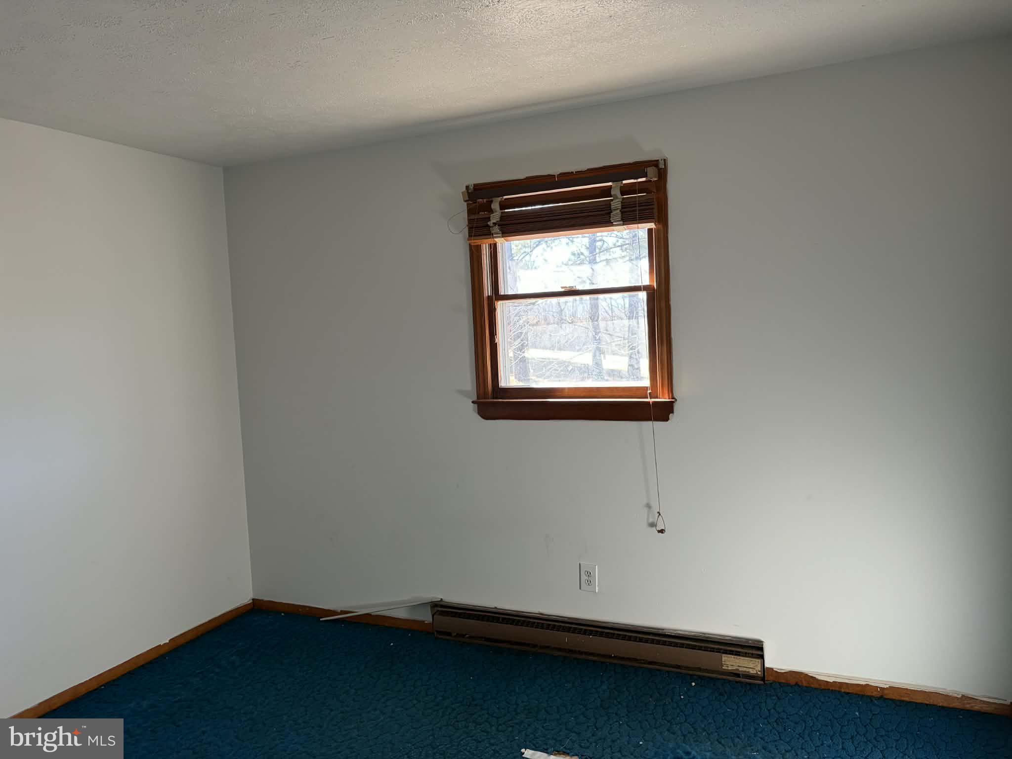 255 Redskins Lane Augusta, WV 26704 - Photo 19 of 35 an empty room with a window