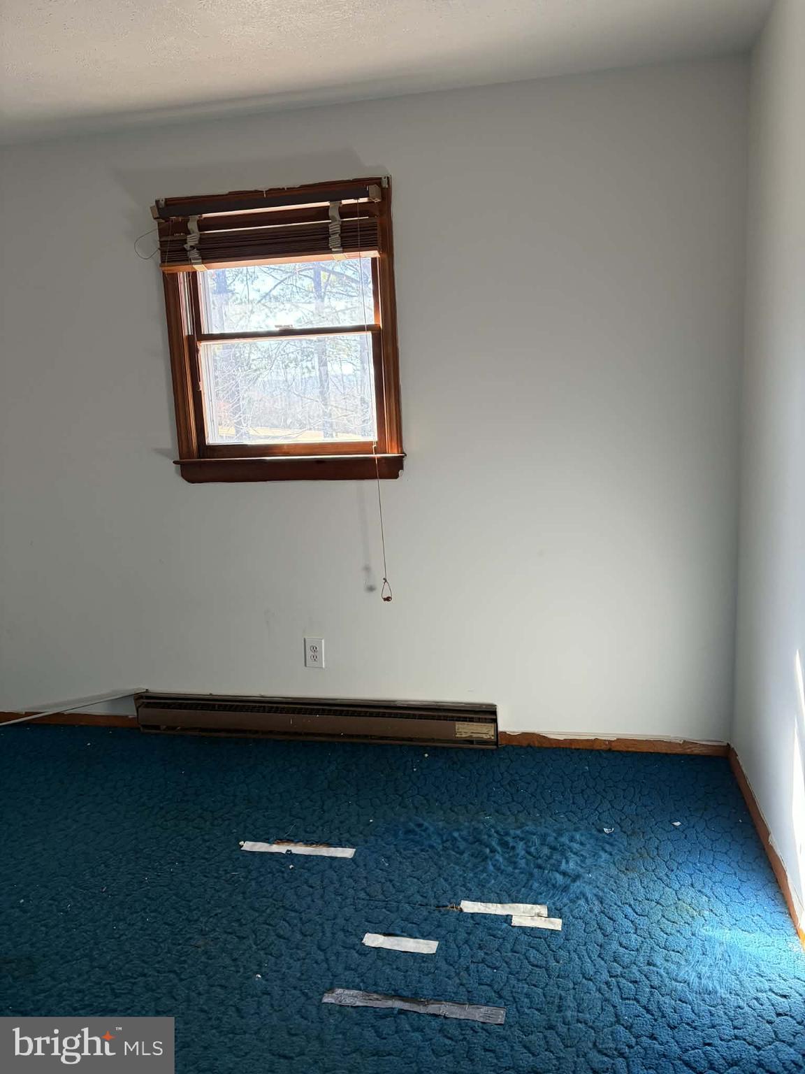 255 Redskins Lane Augusta, WV 26704 - Photo 20 of 35