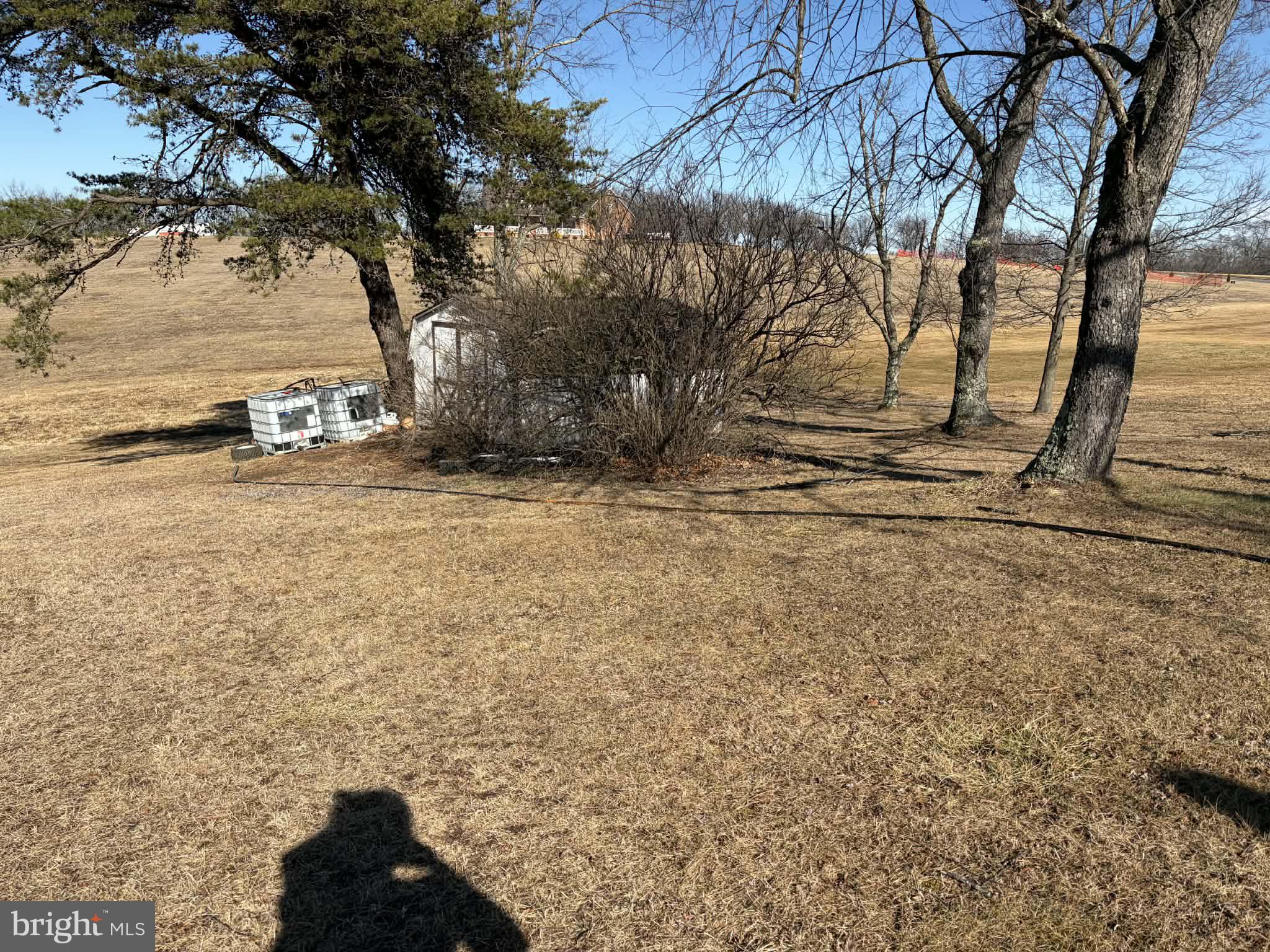 255 Redskins Lane Augusta, WV 26704 - Photo 34 of 35 a view of a yard with an trees