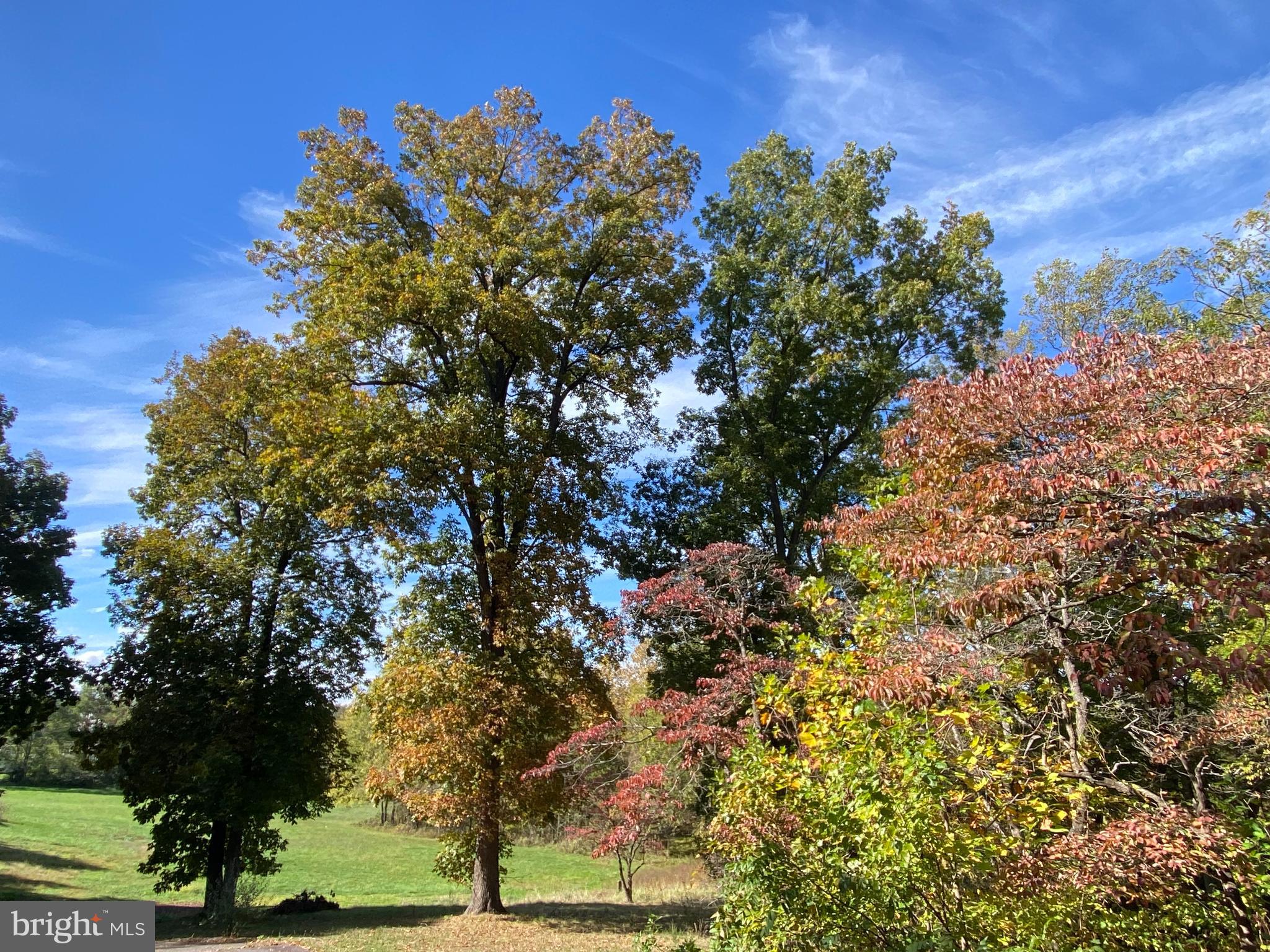 12317 Metlock Road Culpeper, VA 22701 - Photo 12 of 17
