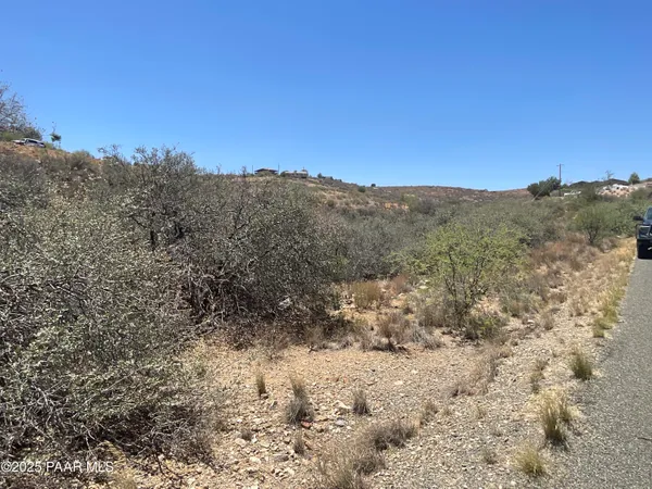 a view of a dry yard with mountains in the background
