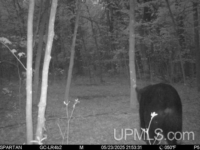 Vega Road Hermansville, MI 49847 - Photo 6 of 10 Gallery Image 6