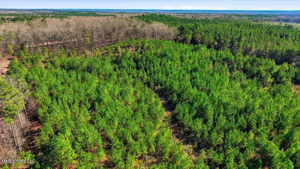 $94,000 | 1024 Milligan Springs Road, Stewart, MS 39767