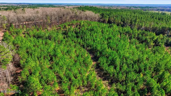 $94,000 | 1024 Milligan Springs Road, Stewart, MS 39767