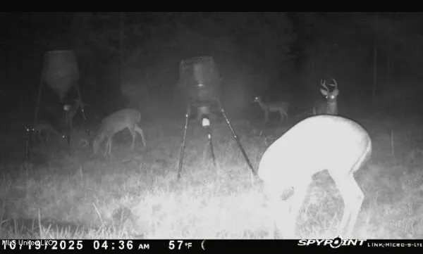 $94,000 | 1024 Milligan Springs Road, Stewart, MS 39767