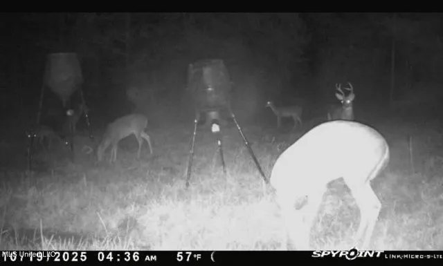 $100,000 | 1024 Milligan Springs Road, Stewart, MS 39767