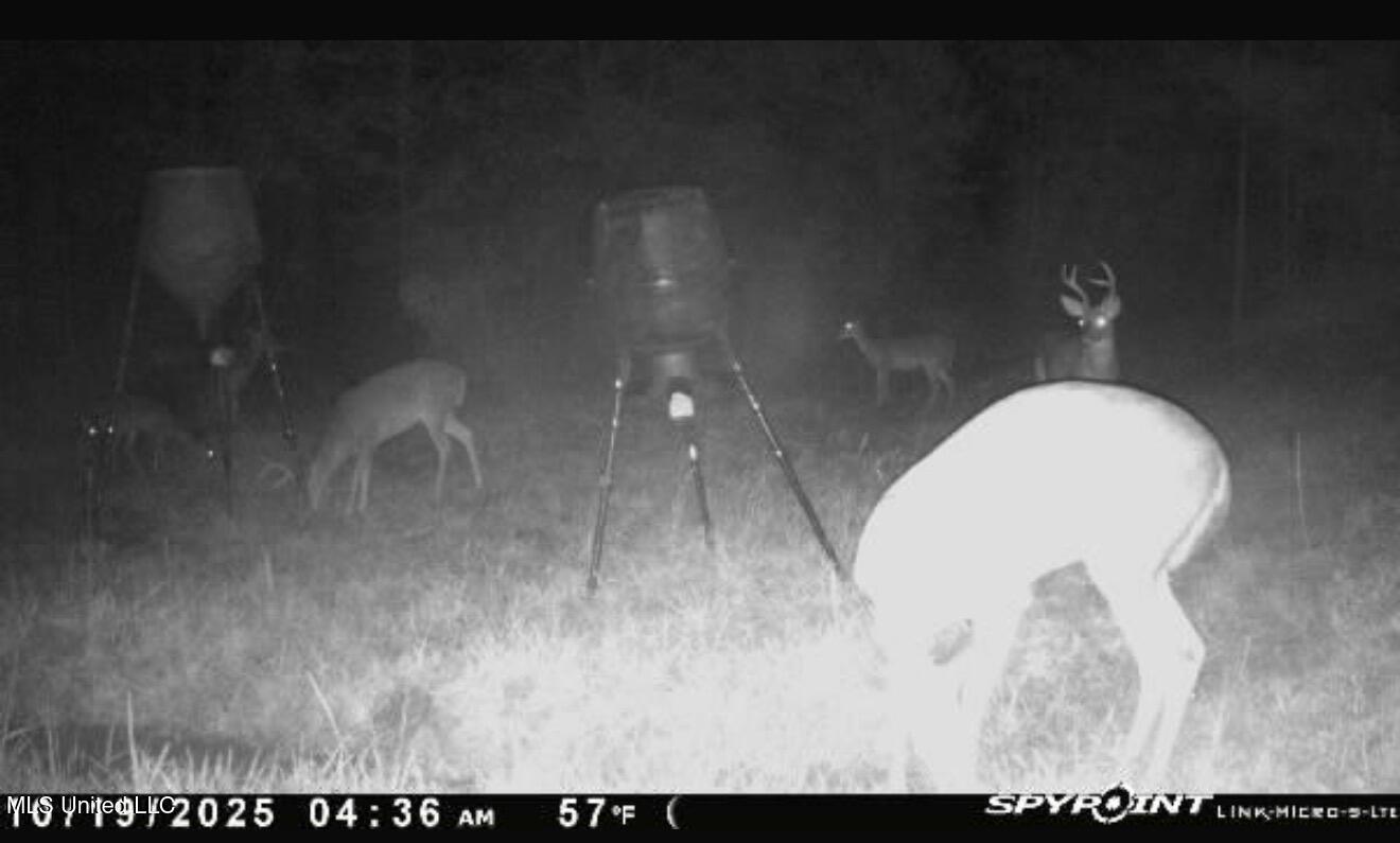 1024 Milligan Springs Road Stewart, MS 39767 - Photo 14 of 17 IMG_0121